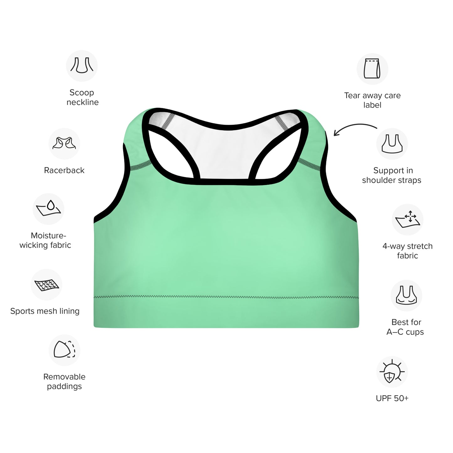 Sports Bra: Solids Collection in Xena